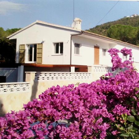 Villa Felices Juntos Castell-Castell-Platja d'Aro Buitenkant foto